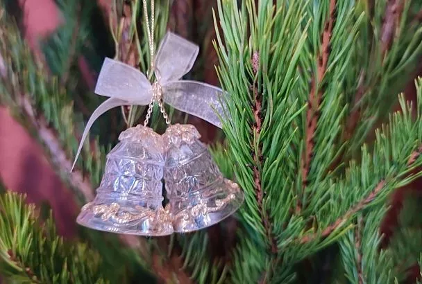 Елочные базары открылись в Краснодаре: где они находятся