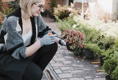 Почему не растет: что может помочь ускорить рост растений