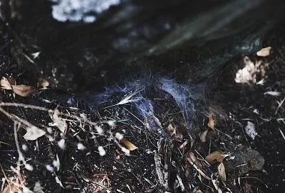 На едкий дым массово жалуются жители поселков Адыгеи