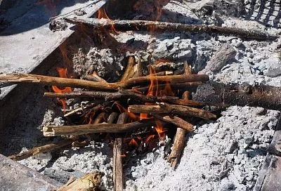 Овощи на огороде растут как на дрожжах, а ведь я всего лишь поливают из раствором из воды, золы и уксуса