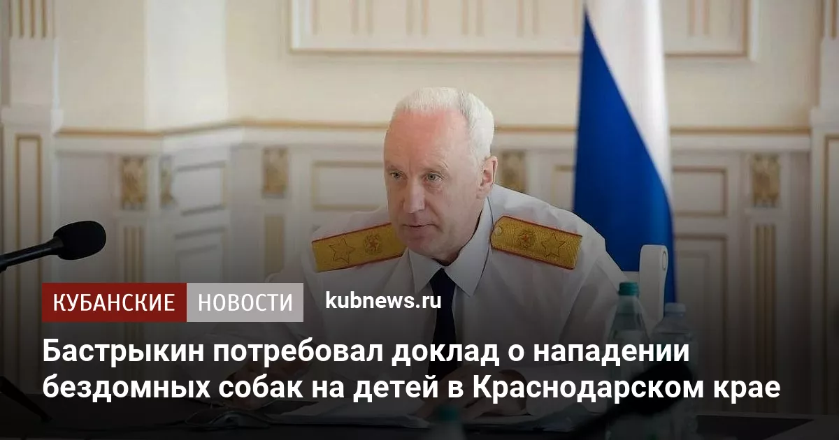 Бастрыкин потребовал доклад о нападении бездомных собак на детей в Краснодарском крае