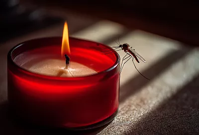 Как сделать натуральную свечу от комаров: безопасный рецепт без химии