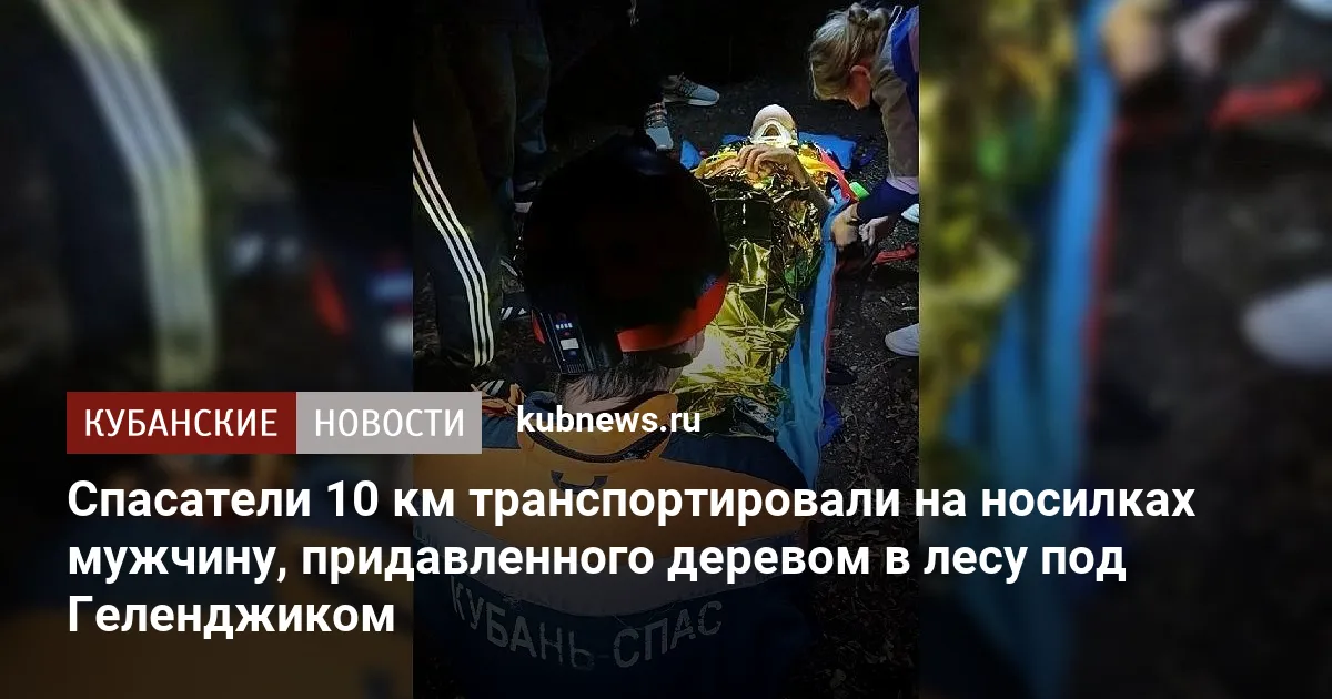 Спасатели 10 км транспортировали на носилках мужчину, придавленного деревом в лесу под Геленджиком