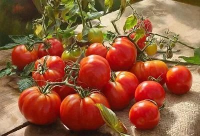 Ранний урожай без лишних хлопот: томаты, которые в теплице развиваются быстрее обычного