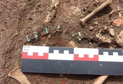 В древних курганах под Краснодаром обнаружили захоронения и украшения бронзовой эпохи