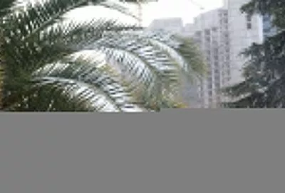 Усиление ветра, шторм и гололедица прогнозируется в Сочи