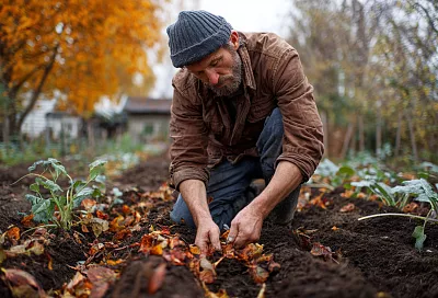 Удобрения осенью: как подготовить почву к урожаю без трат