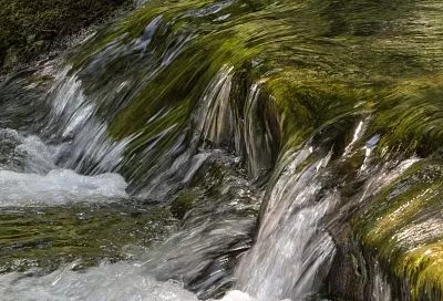 Подъем воды в реках зафиксирован в нескольких районах Кубани из-за проливных дождей