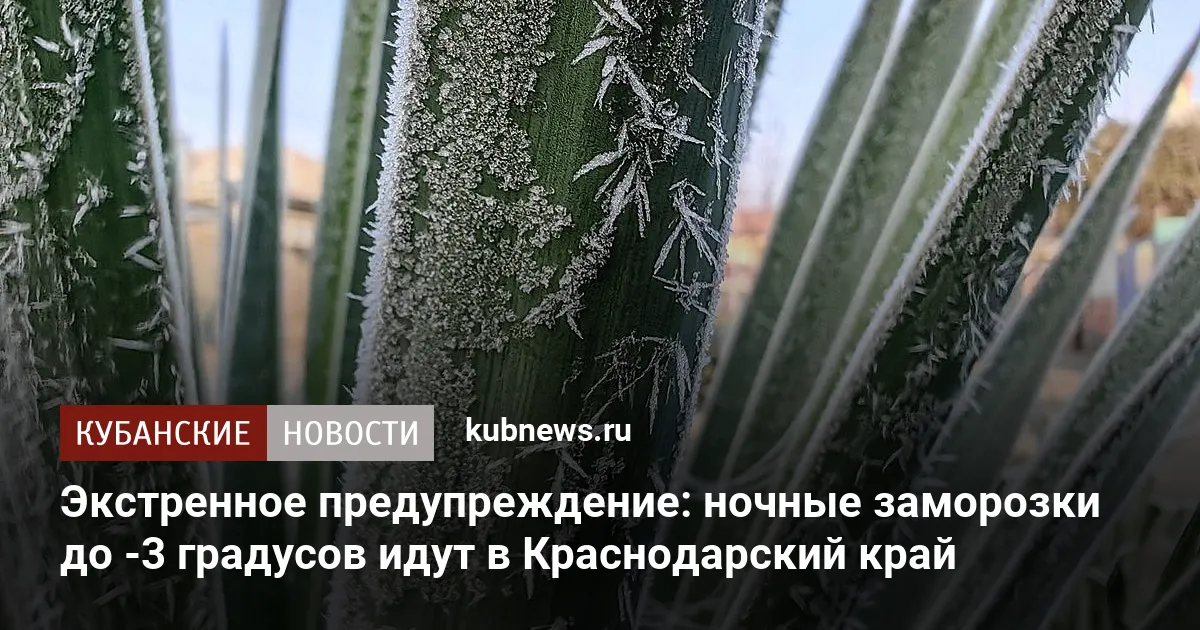 Экстренное предупреждение: ночные заморозки до -3 градусов идут в Краснодарский край