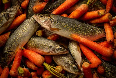 Хе из рыбы: корейская закуска без майонеза, вкус экзотический, рецепт простейший 