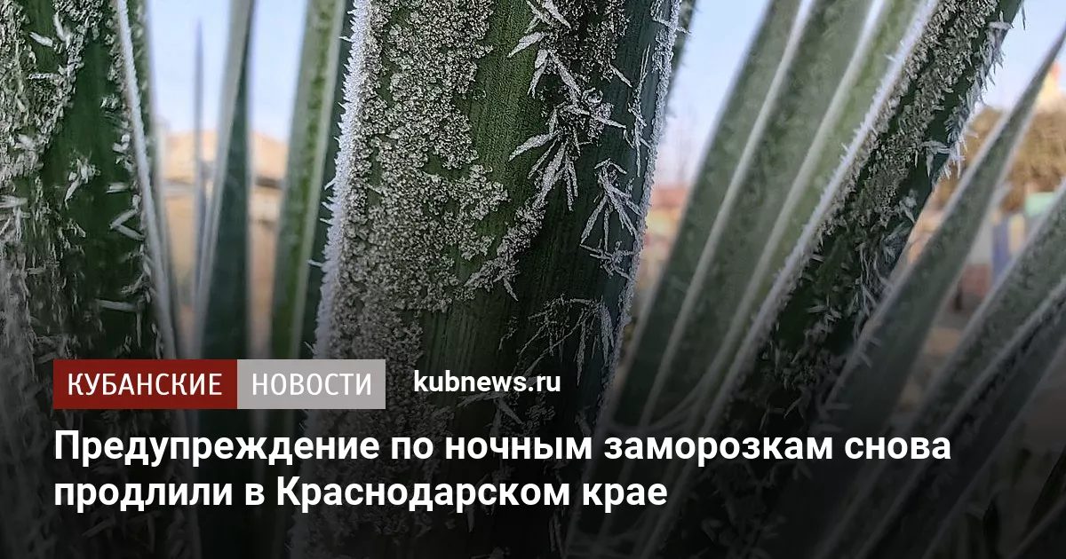 Предупреждение по ночным заморозкам снова продлили в Краснодарском крае