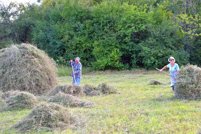 Без названия