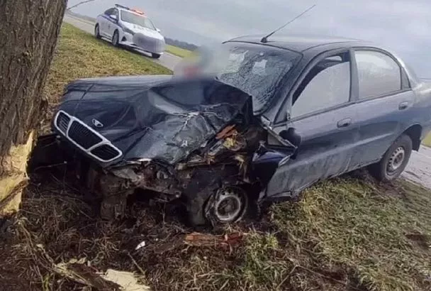 Водитель иномарки врезался в дерево на Кубани и сбежал с места ДТП. Его пассажир погиб