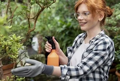 Аптечка садовода: копеечное средство защищает почти от всех болезней