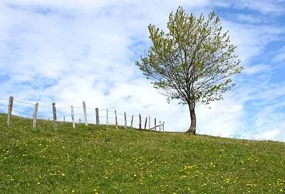 Народные приметы на сегодня – 5 апреля, что можно и нельзя делать в Вербное воскресенье