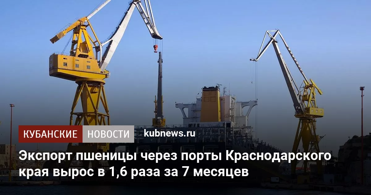 Экспорт пшеницы через порты Краснодарского края вырос в 1,6 раза за 7 месяцев
