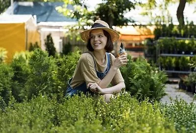 На свободу с чистой совестью: что надо сделать на огороде перед тем, как уехать в отпуск 