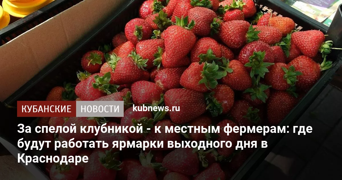 За спелой клубникой - к местным фермерам: где будут работать ярмарки выходного дня в Краснодаре