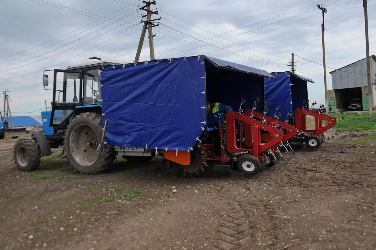 В питомнике применяются новейшие технологии выращивания, ухода и возделывания молодых побегов плодовых деревьев. При этом большинство рабочих процессов автоматизировано.