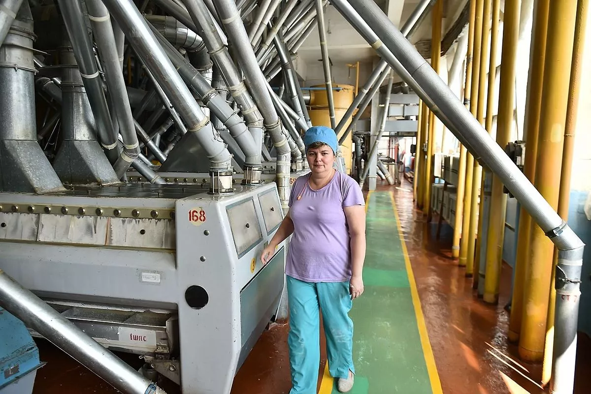 Краснодарский элеватор