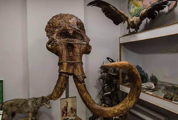 На поиски динозавра: топ мест на Кубани для палеонтологического туризма 