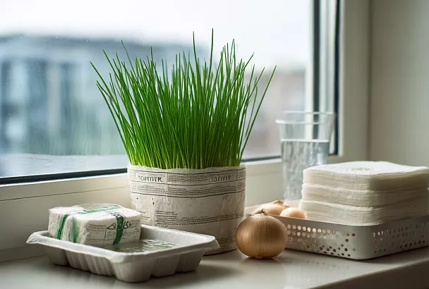 Зелёный лук зимой без земли: простой способ на подоконнике