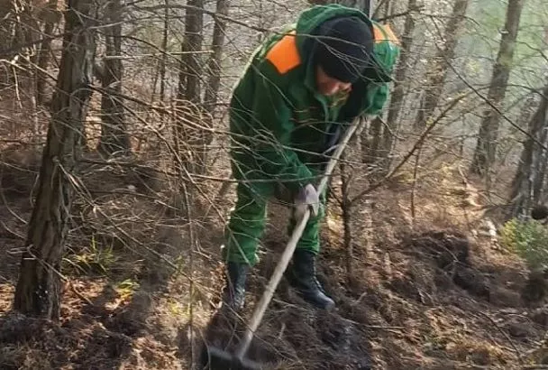 Лесной пожар под Геленджиком потушен