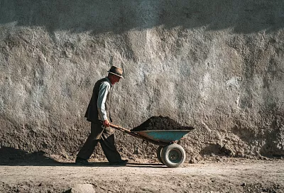 Ваш компост не заработает, если вы добавляете следующие продукты