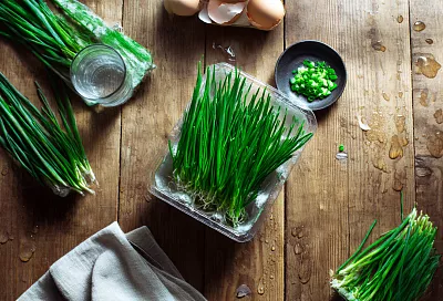 Больше не купите зелёный лук в магазине: лоток из-под яиц накормит круглый год