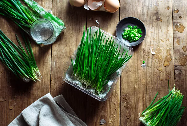 Больше не купите зелёный лук в магазине: лоток из-под яиц накормит круглый год