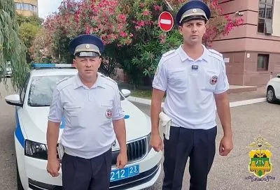 В Сочи госавтоинспекторы экстренно доставили в больницу годовалого ребенка без сознания