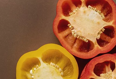 Готовим семена перца: все, что нужно знать о правильной рассаде