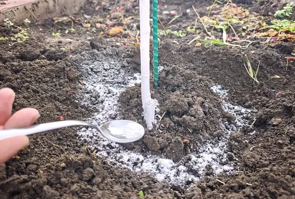 Удобрения, которые нельзя смешивать: 4 опасные пары для огорода