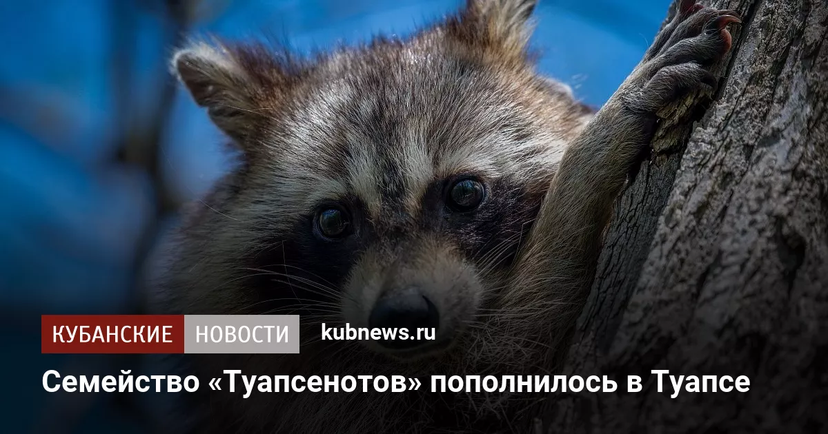 Семейство «Туапсенотов» пополнилось в Туапсе