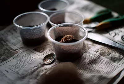 Удобрение для рассады своими руками: просто и дёшево