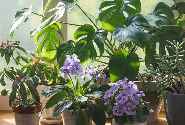 Комнатные цветы растут как сумасшедшие: простые, но мощные подкормки, которые заставят ваши растения радовать глаз каждый день