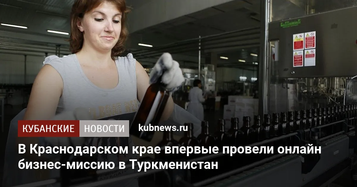 В Краснодарском крае впервые провели онлайн бизнес-миссию в Туркменистан