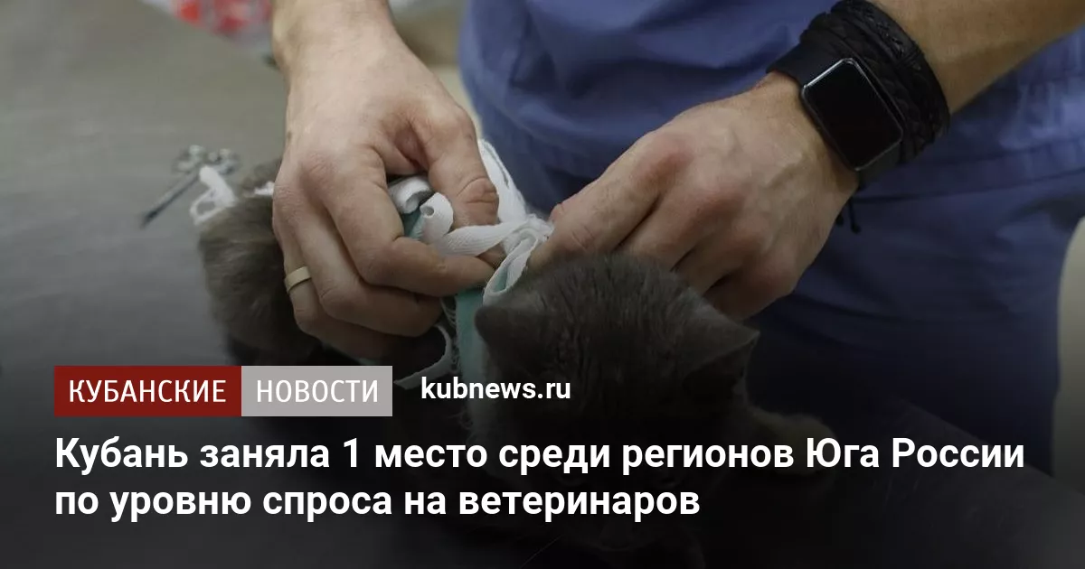 Кубань заняла 1 место среди регионов Юга России по уровню спроса на ветеринаров