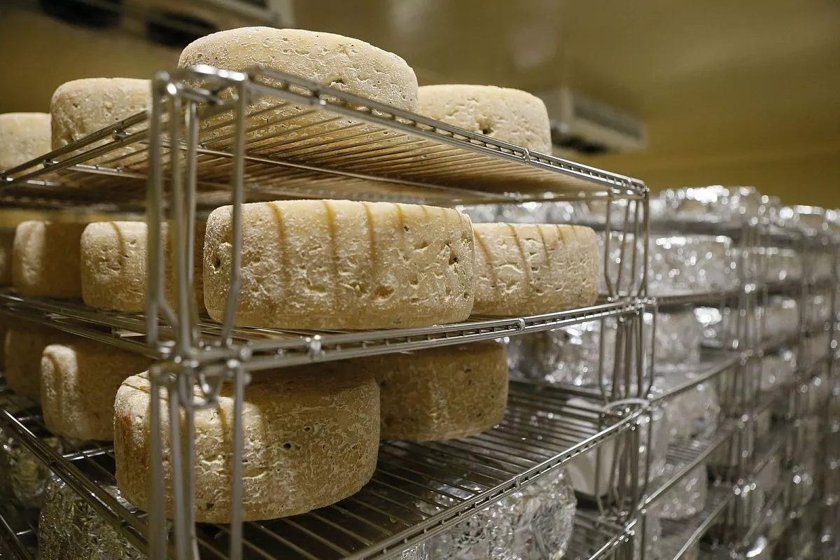 Фирменные Стародеревянковские сыры успели полюбить по всей России Фирменные Стародеревянковские сыры успели полюбить по всей России