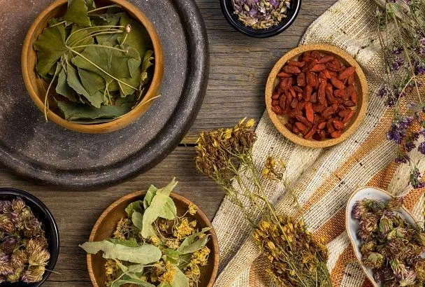 Собираем осенний урожай здоровья: какие лекарственные растения нужно заготовить именно в октябре