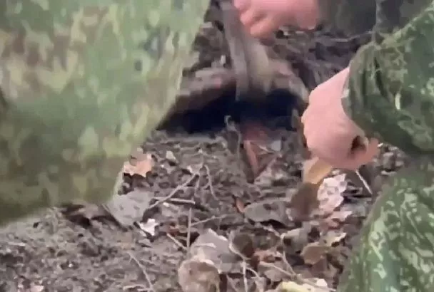 Пьяная мать с сожителем убили и бросили в лесу на Кубани ее годовалого сына. Суд вынес приговор