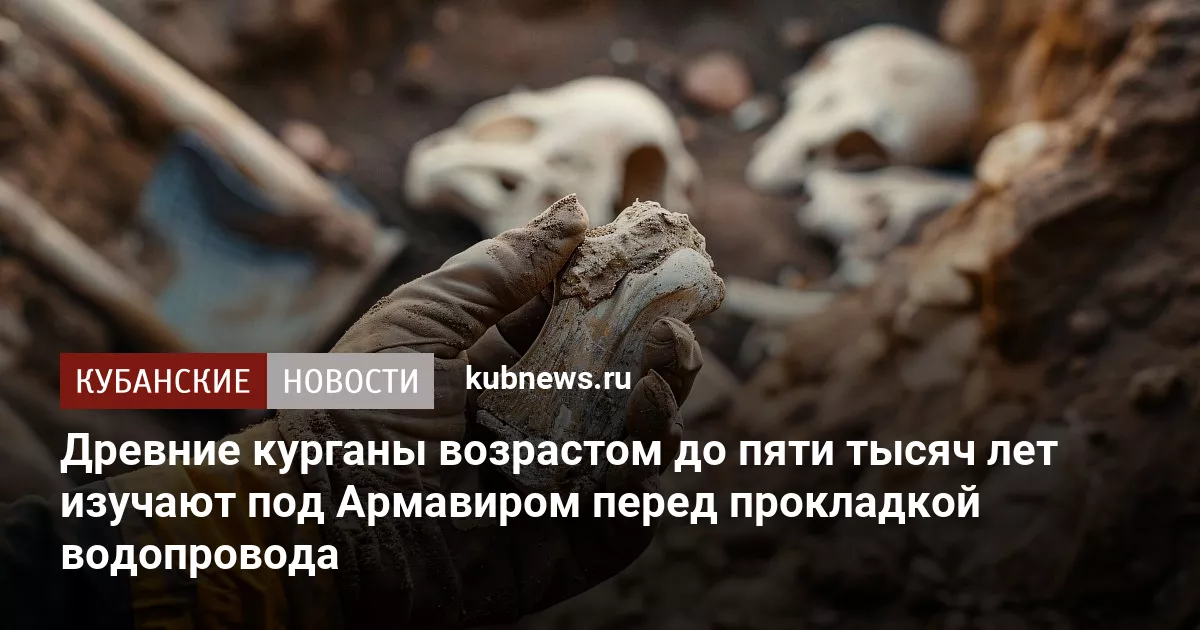 Древние курганы возрастом до пяти тысяч лет изучают под Армавиром перед прокладкой водопровода