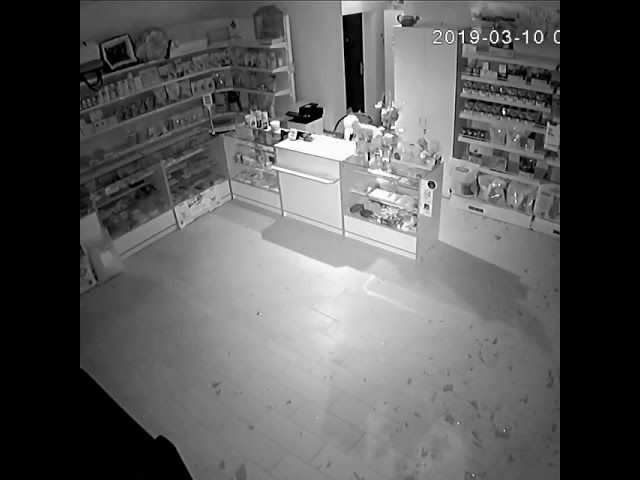 Мужчина украл домик для кота из ветаптеки в Краснодаре (10.03.2019)