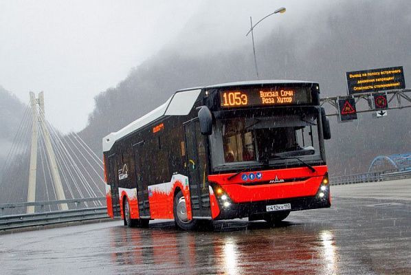 В Сочи увеличат количество «Ласточек» и автобусов на новогодние праздники