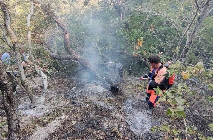 Ущерб от лесного пожара в Геленджике оценили в 92 млн