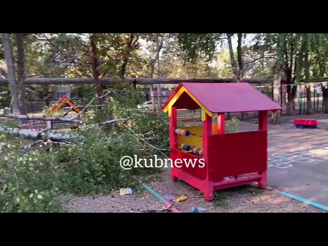 Упавшее дерево в детском саду Краснодара