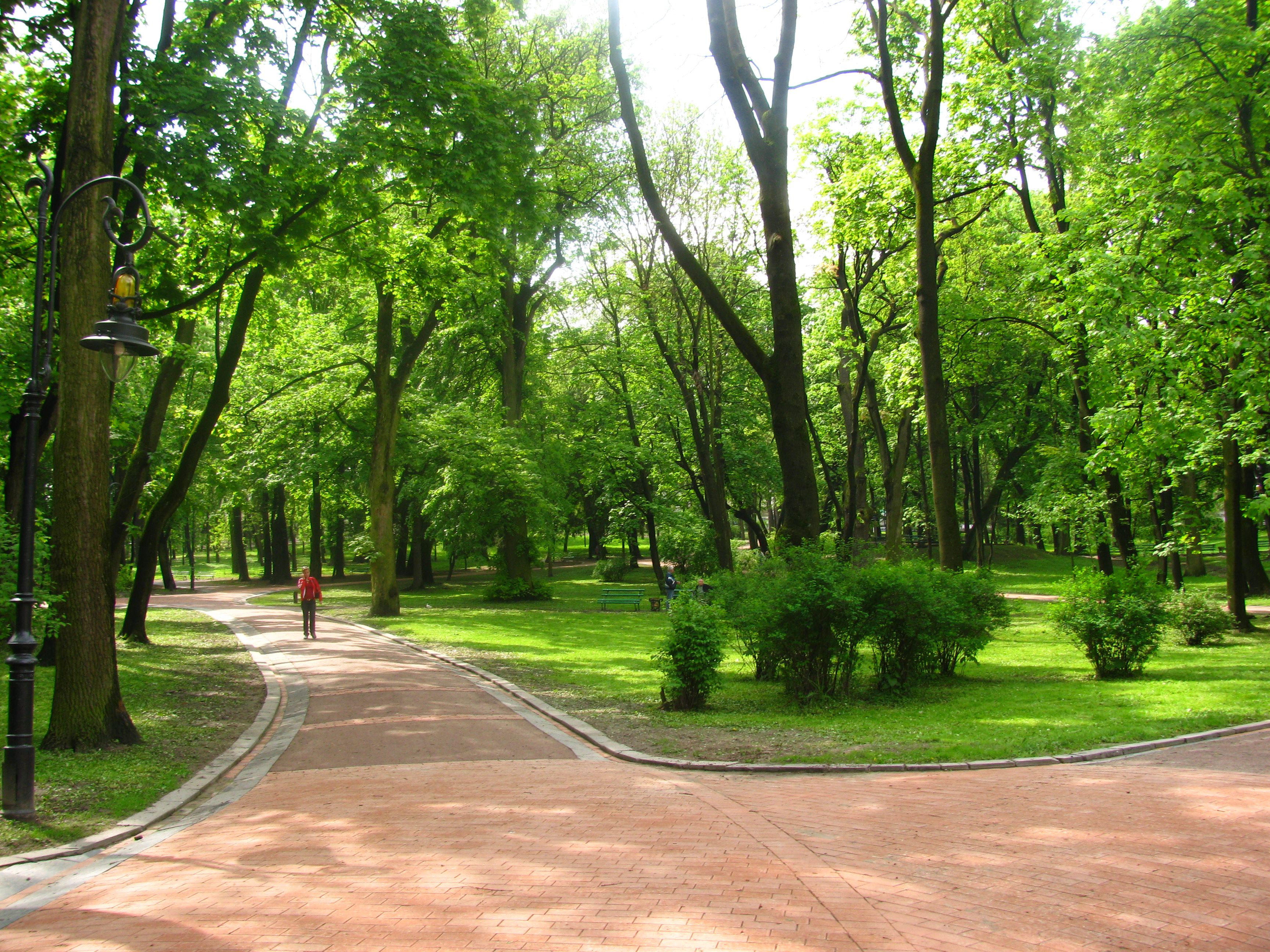 красивый парк в москве для