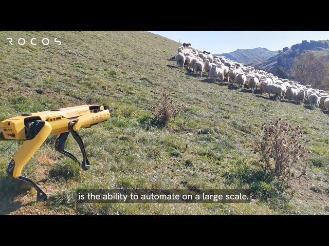 Autonomous farm work - enter the robots