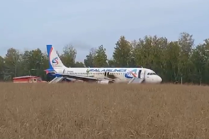 Аварийная посадка в поле самолета рейса Сочи - Омск в Новосибирской области. Что известно к этому часу