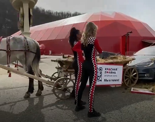 ДТП c Tesla и телегой c лошадью в Сочи оказалось съемкой рекламы